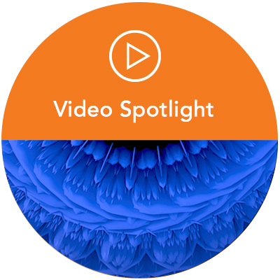 video spotlight